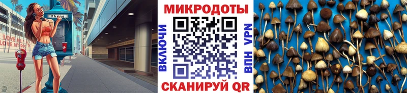 Псилоцибиновые грибы GOLDEN TEACHER  купить наркотики сайты  Красноперекопск 